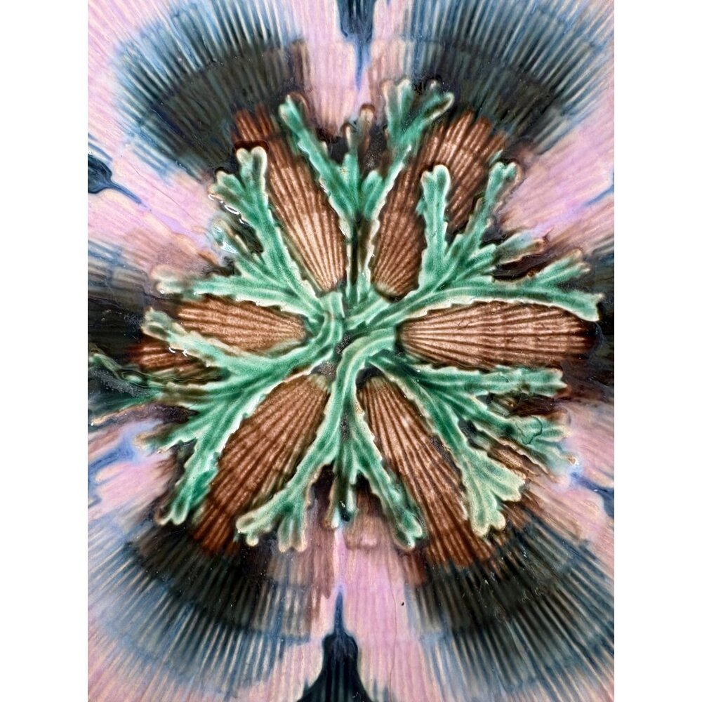 Antique Etruscan Majolica Seaweed Shell Design Plate 6” Collector Gift NOTE Holi - Picture 5 of 16